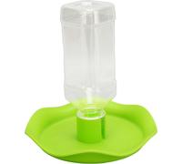 Distributeur d'eau pour reptiles Recharge automatique polyvalente pour tortue araignée lézard gecko