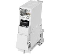 Distributeur profilé-support STX RJ45 Telegärtner 100007436 RJ45 embase femelle Pôle: 8P8C gris clair 1 pc(s)