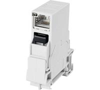 Distributeur profilé-support STX RJ45 Telegärtner 100007437 RJ45 embase femelle à encastrer Pôle: 8P8C gris clair 1 pc(s)