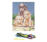 Distrifil Kit Canevas Chiots Labradors 15 x 20 cm