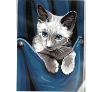 Distrifil Kit Canevas Joli Chaton dans la Poche 22 x 33 cm