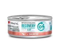 DISUGUAL Diet Cat Recovery Saumon 12 x 85 g