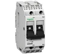 Schneider Electric Disjoncteur magnétothermique 2 pôles Protection 4 A