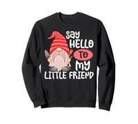 Dites bonjour à mon petit ami Sweatshirt