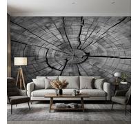 DITHYRAM Papier Peint Effet Bois Panoramique Murale, Intissé Papier Peint 3D Rustique Gris Salon Chambre Cuisine, Effet Bois Decoratif Mural 315 x 215 cm