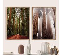 Dittelle Redwood Tree Photography Poster Art Print Eureka California Foggy Forest Nature Pictures Canvas Painting Home Wall Decor15.7 x 23.6" (40x60cm) x2 Pas de cadre