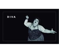 Diva: A Flip Book by Santiago Melazzini