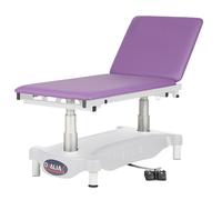 Divan d'examen électrique 2 parties - Ovalia V2 Carina - Largeur 80 cm - Télécommande par pédale