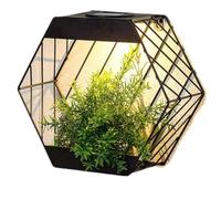 DIVAS SPIRITUAL Jardinière murale hexagonale à énergie solaire, éclairage décoratif pour jardin extérieur