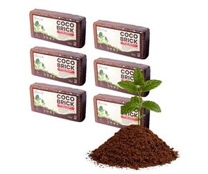 DIVCHI Lot de 6 briques de coco 650 g (6 x 8 L) | Bio | Fibre de noix de coco | 100 % naturelle | Respectueux des reptiles | Terre de coco pour planter | Composition de croissance stable au pH I Haute