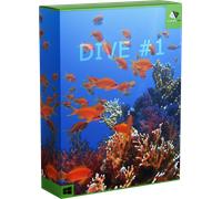 DIVE #1