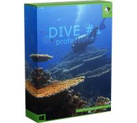 DIVE #1 professional
