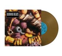 Dive Vinyle Bronze