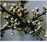 DIVERS - Div art : Gjenklang-vår musikalske arv (1910-2005)