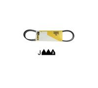 Divers Marques Courroie 1242 J 3 Poly V Ref: 2834590100