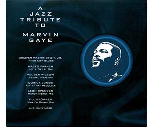 Diverse - A Jazz Tribute to Marvin Gaye [Import]