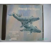 Diverse - Beneath the Waves : Vocals by the Humpback Whales