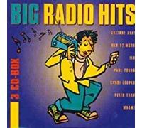 Diverse - Big Radio Hits [Import]