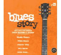 Diverse (Blues) - Blues Story V.29 [Import]