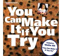 Diverse - Can Make It If You Try [Import]