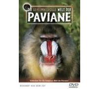 Diverse (Dokumentation) - Paviane