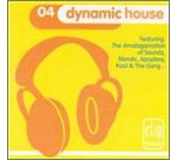 Diverse - Dynamic House 4