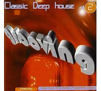 Diverse (House) - Classic Deep House V.2 [Import]