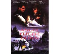 Diverse Interpreten - Angel Flight Down [DVD] [Import]