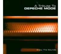 Diverse (New Folk/New Age) - Enjoy The Sounds (a Tribute to [Import]