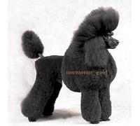 Diverse - Normoton Gold [Import]