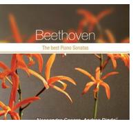 Diverse - Pictures of Classics - Serie 40 CDs - Beethoven -The best Piano Sonatas