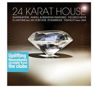 Diverse Pop - 24 Karat House Vol.1 [Import]