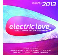 Diverse Pop - Electric Love 2013 [Import]