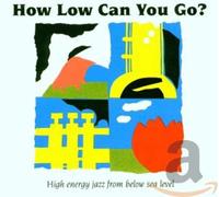 Diverse (Pop,Internat.) - How Low Can You Go [Import]
