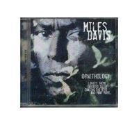 Diverse - Rock City Nights