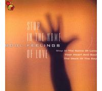 Diverse - Stop in The Name of Love