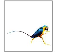 Diverse - Trip Do Brazol [Import]