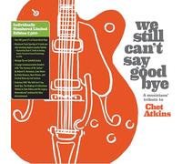 Diverse - We Still Can'T Say Goodbye: a Musicians' Tribute T