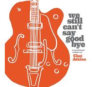 Diverse – We Still Can'T Say Goodbye: a Musicians' Tribute T