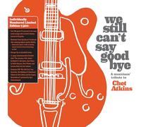 Diverse - We Still Can'T Say Goodbye: a Musicians' Tribute T