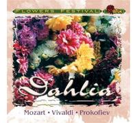 Diverse Wellness - Daisy [Import]