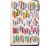 DiverseBee Onglets de Bible Laminés (Grands Caractères, Faciles à Lire) - Personnalisés pour Journal de la Bible, 66 Onglets de Livre et 14 Vierges - Thème Varié