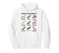 Diverses espèces de vers Marins d'invertébrés Marins Sweat à Capuche