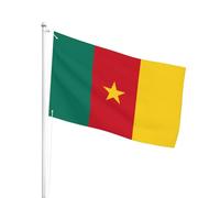 Diversité Drapeaux Bannières 90X150Cm Cameroun Camerounais Bannière De Jardin L’Extérieur Pirate Drapeau Pour Cadeau D'Anniversaire, Décoration D'Intérieur, Jardin