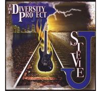 STEVIE J - The Diversity Project