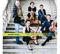 Divertimento K563 - Quintette K407