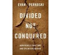 Divided Not Conquered: How Rebels Fracture And Splinters Behave