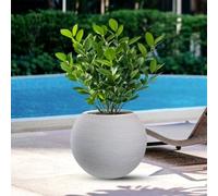 DIVINA GARDEN Vase en résine d'extérieur intérieur pour plantes rondes à sphère