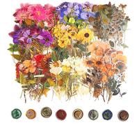 DIVINA VITAE 320 Pièces Autocollants Scrapbooking PET Nature Autocollants Botaniques Autocollants Vintage Stickers Fleurs Transparents Colorées pour Journal DIY Carte Album Téléphone Portable