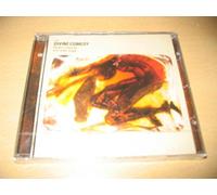 Divine Comedy - DIVINE COMEDY - perfect lovesongRARE DVD single